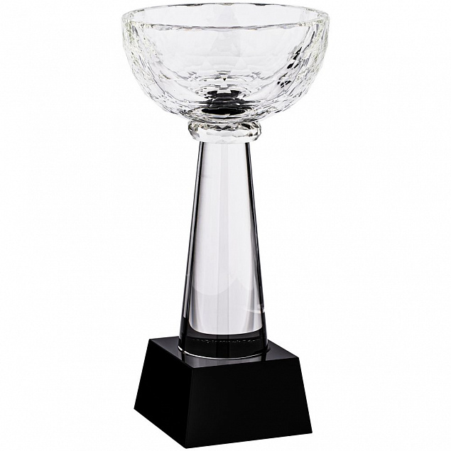 Кубок Cupture, малый с логотипом в Балашихе заказать по выгодной цене в кибермаркете AvroraStore