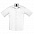 Рубашка мужская BRISTOL 105 с логотипом в Балашихе заказать по выгодной цене в кибермаркете AvroraStore