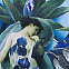Футболка женская Beauty Sleep, ярко-синяя (royal) с логотипом в Балашихе заказать по выгодной цене в кибермаркете AvroraStore