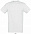 Фуфайка (футболка) REGENT мужская,Хаки S с логотипом в Балашихе заказать по выгодной цене в кибермаркете AvroraStore