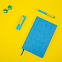 Набор COLORSPRING: аккумулятор, ручка, бизнес-блокнот, коробка со стружкой, голубой/желтый с логотипом в Балашихе заказать по выгодной цене в кибермаркете AvroraStore