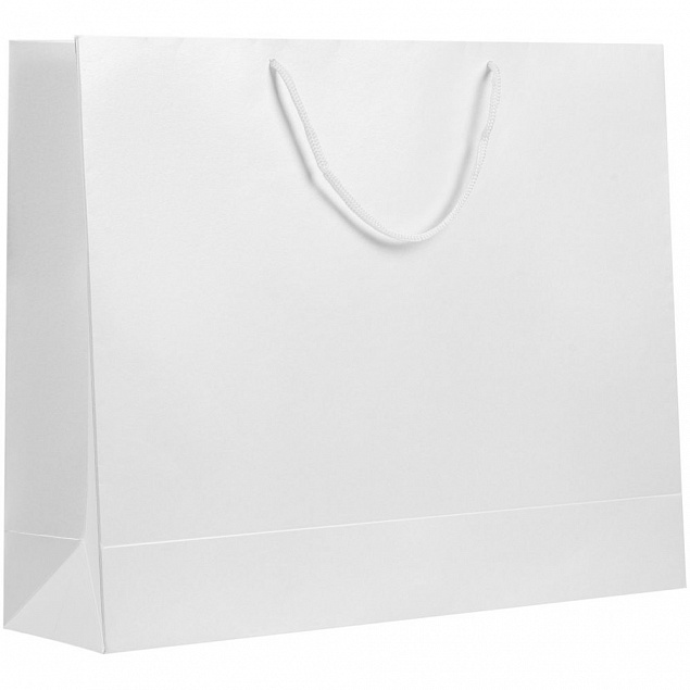 Пакет бумажный «Блеск», большой, белый с логотипом в Балашихе заказать по выгодной цене в кибермаркете AvroraStore