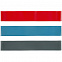 Набор эластичных лент для фитнеса Zen с логотипом в Балашихе заказать по выгодной цене в кибермаркете AvroraStore