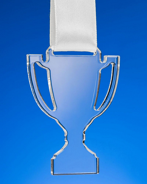 Награда Cup Medal с логотипом в Балашихе заказать по выгодной цене в кибермаркете AvroraStore