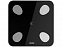 Умные диагностические весы Picooc Mini Lite Black (6924917717469), черный с логотипом в Балашихе заказать по выгодной цене в кибермаркете AvroraStore