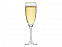 Бокал для шампанского «Flute» с логотипом в Балашихе заказать по выгодной цене в кибермаркете AvroraStore