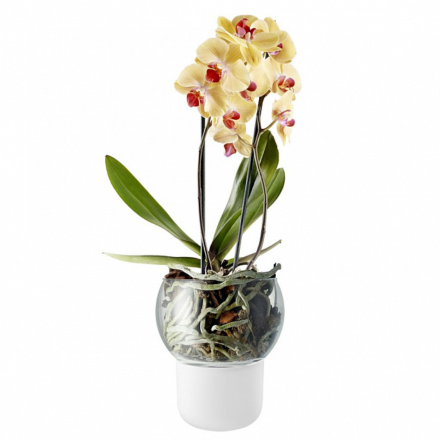 Горшок для орхидеи с функцией самополива Orchid Pot, большой, белый с логотипом в Балашихе заказать по выгодной цене в кибермаркете AvroraStore
