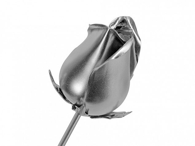 Роза с серебряным бутоном с логотипом в Балашихе заказать по выгодной цене в кибермаркете AvroraStore