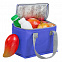 Сумка холодильник Vardo, синяя с логотипом в Балашихе заказать по выгодной цене в кибермаркете AvroraStore