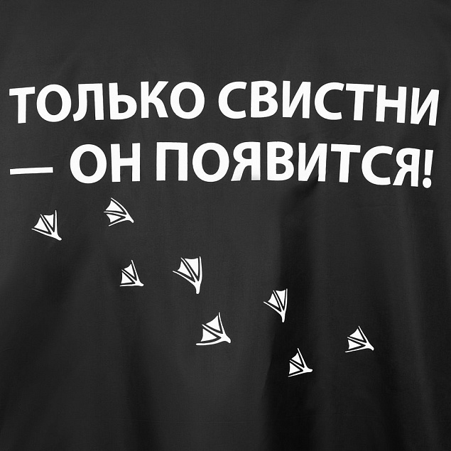 Дождевик «Только свистни», черный с логотипом в Балашихе заказать по выгодной цене в кибермаркете AvroraStore