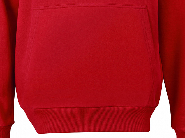 Толстовка с капюшоном «Monaco» унисекс с логотипом в Балашихе заказать по выгодной цене в кибермаркете AvroraStore