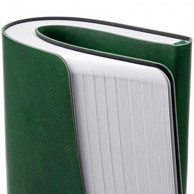 Ежедневник Romano, недатированный, зеленый с логотипом в Балашихе заказать по выгодной цене в кибермаркете AvroraStore