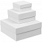 Коробка Emmet, большая, белая с логотипом в Балашихе заказать по выгодной цене в кибермаркете AvroraStore