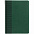 Ежедневник BRAND, недатированный, зеленый с логотипом в Балашихе заказать по выгодной цене в кибермаркете AvroraStore