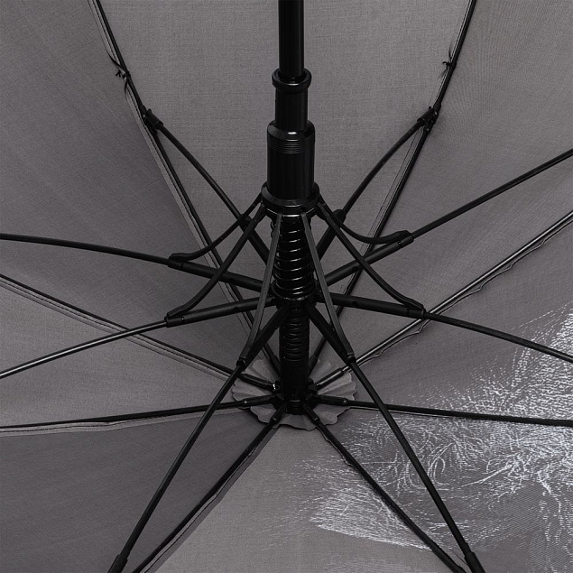 Зонт-трость Like a Lion с логотипом в Балашихе заказать по выгодной цене в кибермаркете AvroraStore