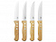 Ножи для стейка с логотипом в Балашихе заказать по выгодной цене в кибермаркете AvroraStore