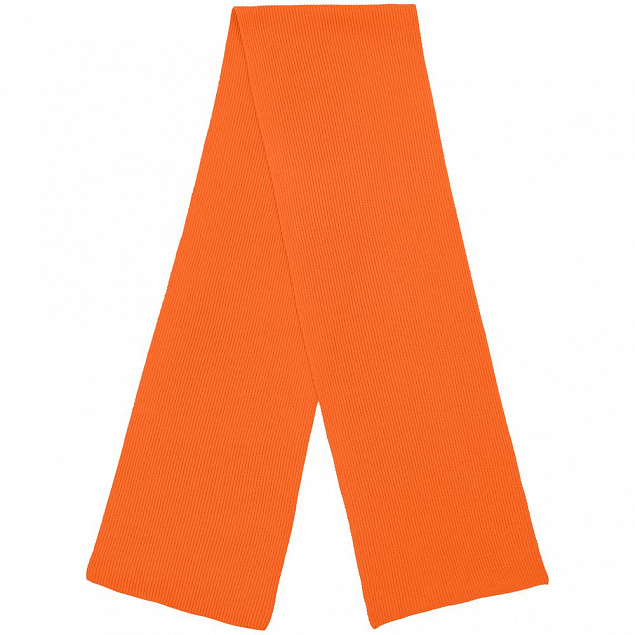 Шарф Life Explorer, оранжевый с логотипом в Балашихе заказать по выгодной цене в кибермаркете AvroraStore