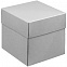 Коробка Anima, серая с логотипом в Балашихе заказать по выгодной цене в кибермаркете AvroraStore