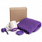 Набор подарочный SPRING WIND: плед, складной зонт, кружка с крышкой, коробка, фиолетовый с логотипом в Балашихе заказать по выгодной цене в кибермаркете AvroraStore