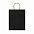 Пакет бумажный ROBLE, Черный с логотипом в Балашихе заказать по выгодной цене в кибермаркете AvroraStore