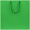 Пакет бумажный Porta, большой, зеленый с логотипом в Балашихе заказать по выгодной цене в кибермаркете AvroraStore