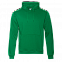 Толстовка Толстовка 20 Зелёный с логотипом в Балашихе заказать по выгодной цене в кибермаркете AvroraStore
