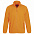 Куртка мужская North, желтый неон с логотипом в Балашихе заказать по выгодной цене в кибермаркете AvroraStore