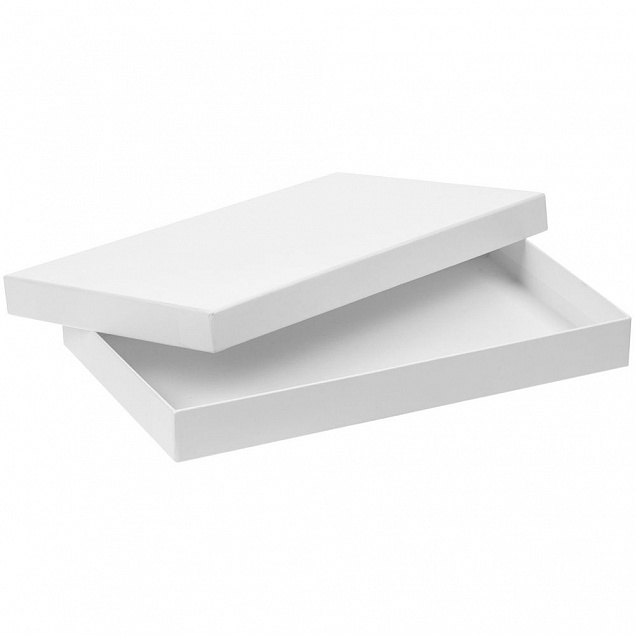 Коробка Horizon, белая с логотипом в Балашихе заказать по выгодной цене в кибермаркете AvroraStore