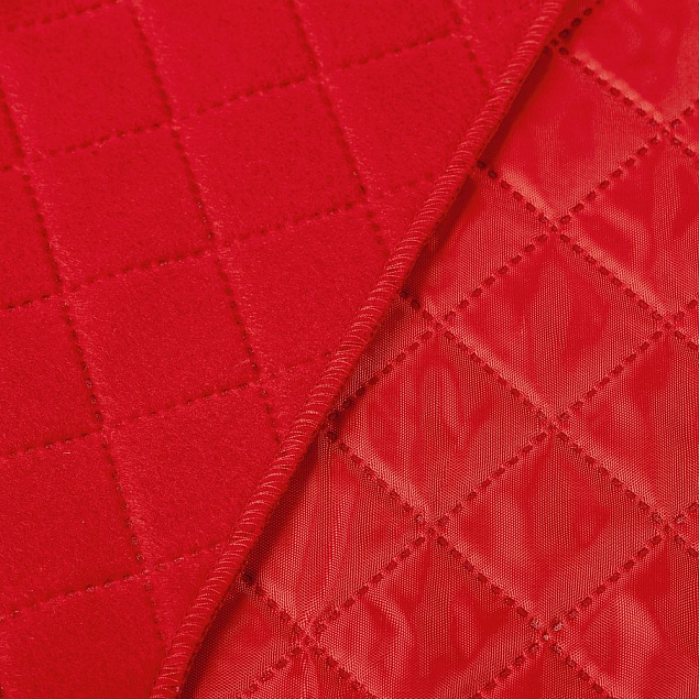 Плед для пикника Soft & Dry, темно-красный с логотипом в Балашихе заказать по выгодной цене в кибермаркете AvroraStore
