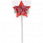 Леденец на палочке «Звезда» с логотипом в Балашихе заказать по выгодной цене в кибермаркете AvroraStore