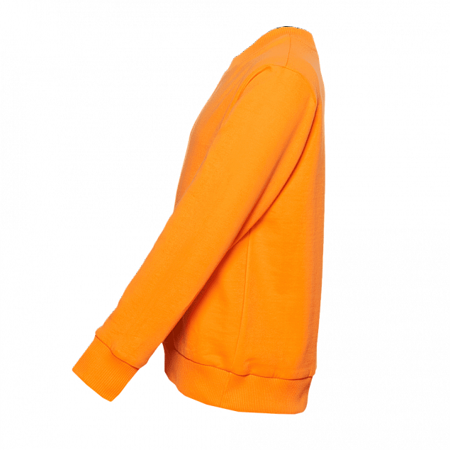 Толстовка  Оранжевый с логотипом в Балашихе заказать по выгодной цене в кибермаркете AvroraStore