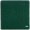 Шарф Tommi, зеленый с логотипом в Балашихе заказать по выгодной цене в кибермаркете AvroraStore