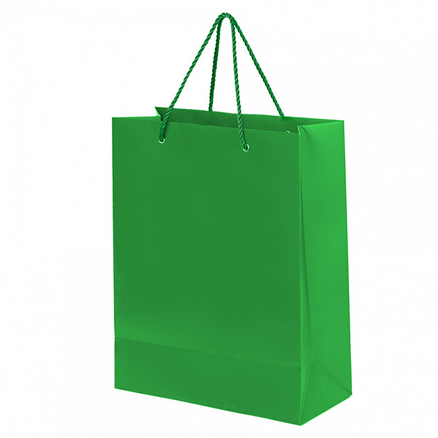 Пакет подарочный BIG GLAM с логотипом в Балашихе заказать по выгодной цене в кибермаркете AvroraStore