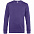 Свитшот унисекс King, фиолетовый с логотипом в Балашихе заказать по выгодной цене в кибермаркете AvroraStore
