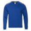 Толстовка Толстовка 53 Синий с логотипом в Балашихе заказать по выгодной цене в кибермаркете AvroraStore