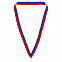 Лента с карабином Champ, триколор с логотипом в Балашихе заказать по выгодной цене в кибермаркете AvroraStore