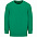 Свитшот детский Columbia Kids, ярко-зеленый с логотипом в Балашихе заказать по выгодной цене в кибермаркете AvroraStore