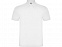Рубашка поло Austral мужская, белый с логотипом в Балашихе заказать по выгодной цене в кибермаркете AvroraStore