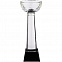 Кубок Cupture, большой с логотипом в Балашихе заказать по выгодной цене в кибермаркете AvroraStore
