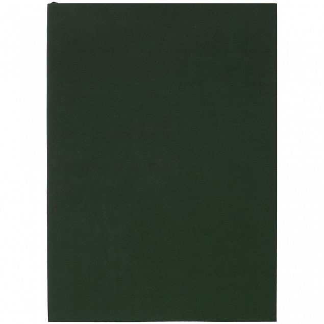 Ежедневник Flat, недатированный, зеленый с логотипом в Балашихе заказать по выгодной цене в кибермаркете AvroraStore