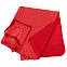 Плед для пикника Soft & Dry, темно-красный с логотипом в Балашихе заказать по выгодной цене в кибермаркете AvroraStore