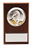 Плакетка малая «Тигр на монетах» с возможностью персонализации с логотипом в Балашихе заказать по выгодной цене в кибермаркете AvroraStore
