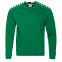 Толстовка StanSweatshirt Зелёный с логотипом в Балашихе заказать по выгодной цене в кибермаркете AvroraStore
