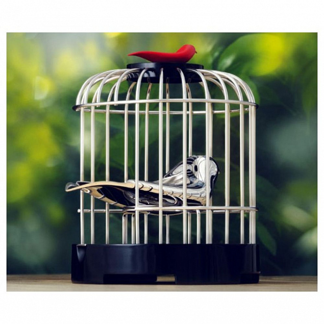 Музыкальный заварочный набор «Певчая птичка» с логотипом в Балашихе заказать по выгодной цене в кибермаркете AvroraStore