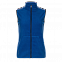 Жилет StanFleeceNewWomen Синий с логотипом в Балашихе заказать по выгодной цене в кибермаркете AvroraStore