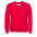 Толстовка  Красный с логотипом в Балашихе заказать по выгодной цене в кибермаркете AvroraStore