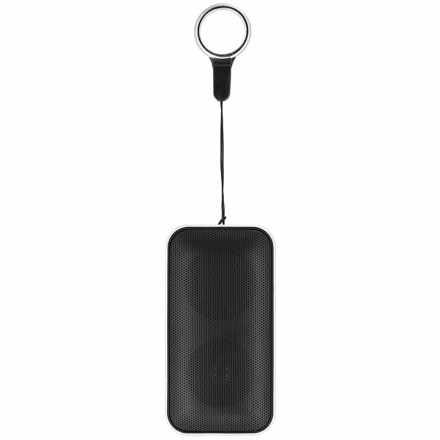 Беспроводная колонка Nano Lite, серебристая с черным с логотипом в Балашихе заказать по выгодной цене в кибермаркете AvroraStore