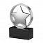Статуэтка наградная "Звезда" с логотипом в Балашихе заказать по выгодной цене в кибермаркете AvroraStore