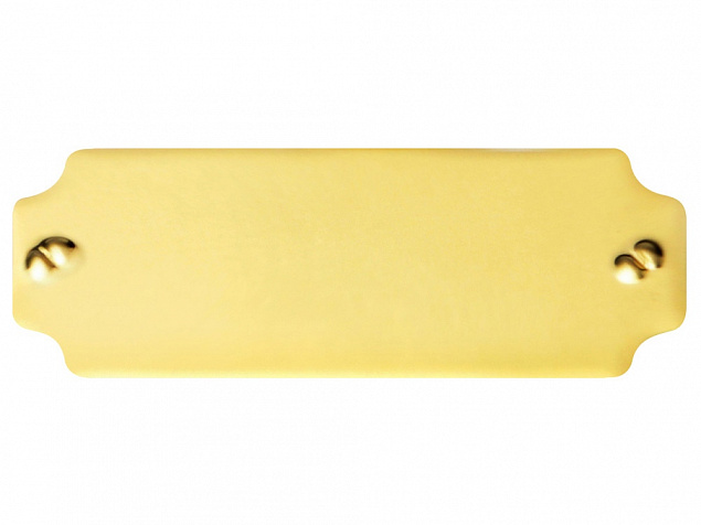 Шильд золотистый с логотипом в Балашихе заказать по выгодной цене в кибермаркете AvroraStore