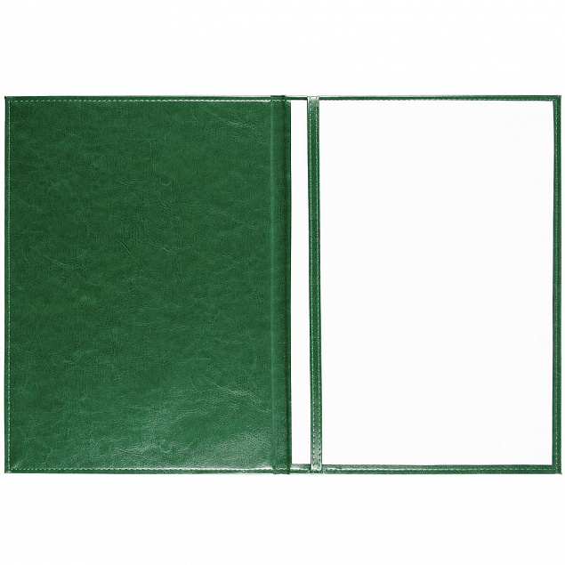 Папка адресная Nebraska, зеленая с логотипом в Балашихе заказать по выгодной цене в кибермаркете AvroraStore